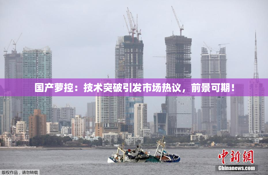 国产萝控：技术突破引发市场热议，前景可期！