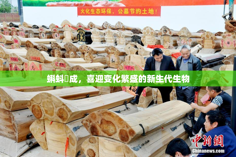 蝌蚪窉成，喜迎变化繁盛的新生代生物