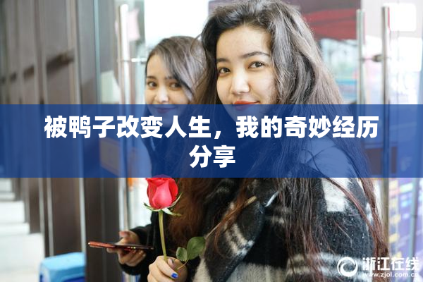 被鸭子改变人生，我的奇妙经历分享