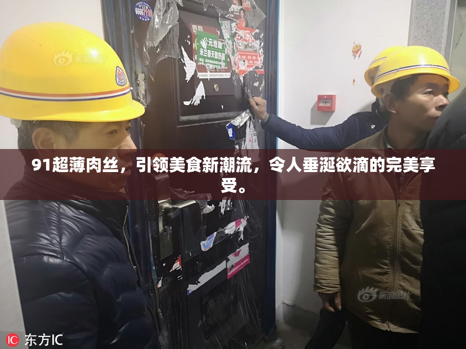 91超薄肉丝，引领美食新潮流，令人垂涎欲滴的完美享受。