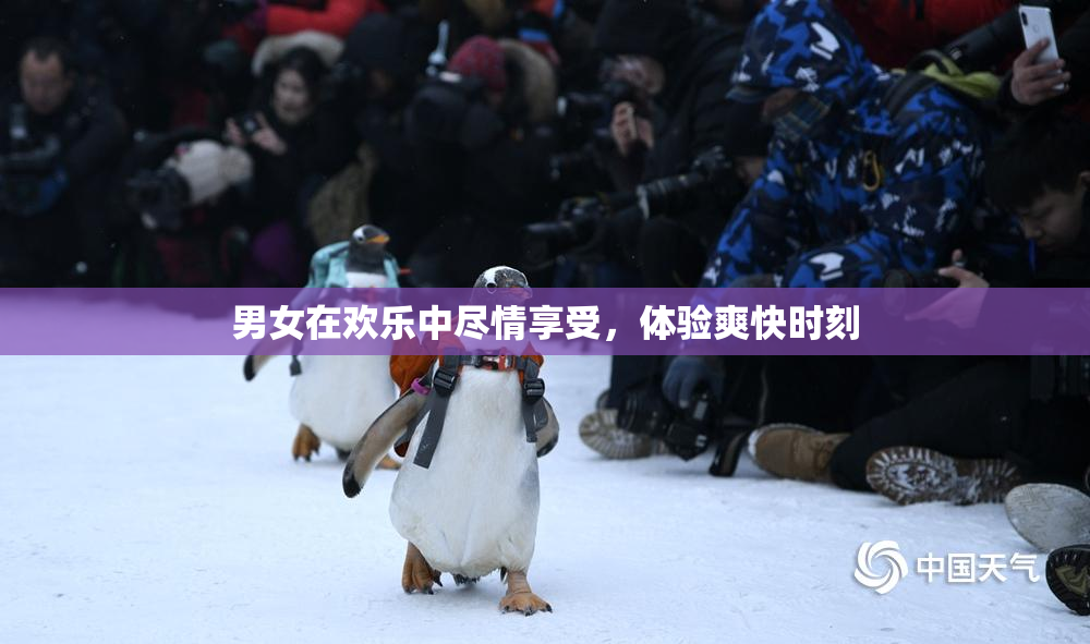 男女在欢乐中尽情享受，体验爽快时刻
