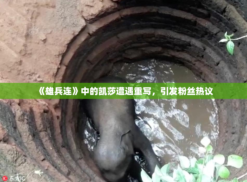 《雄兵连》中的凯莎遭遇重写，引发粉丝热议