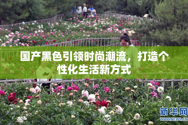 国产黑色引领时尚潮流，打造个性化生活新方式