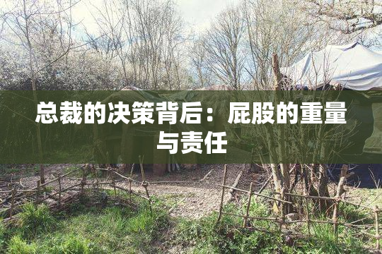 总裁的决策背后：屁股的重量与责任