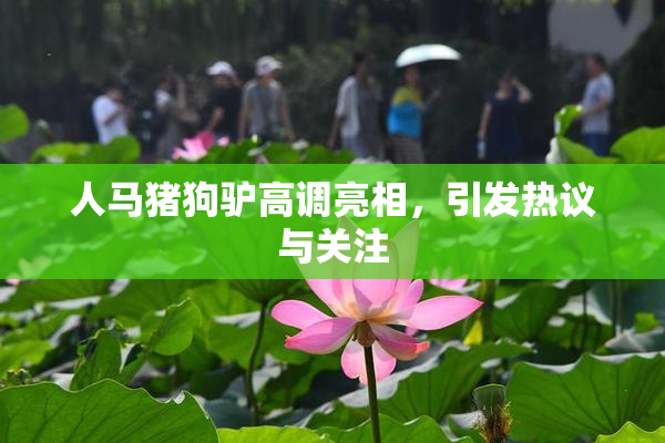 人马猪狗驴高调亮相，引发热议与关注