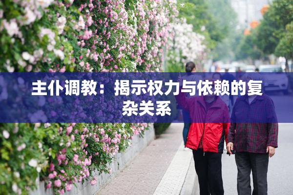 主仆调教：揭示权力与依赖的复杂关系