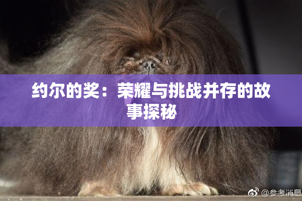 约尔的奖：荣耀与挑战并存的故事探秘