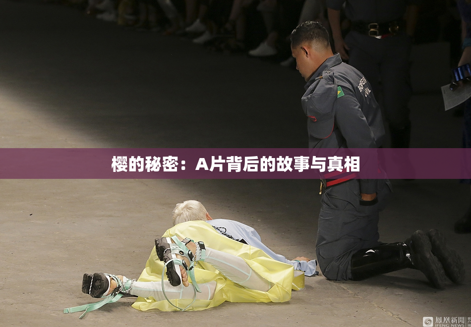 樱的秘密：A片背后的故事与真相