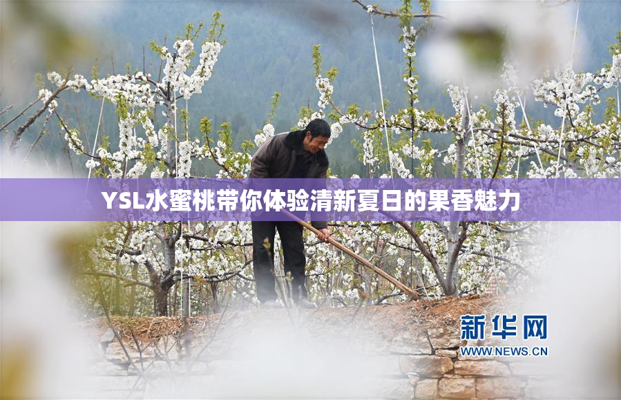 YSL水蜜桃带你体验清新夏日的果香魅力