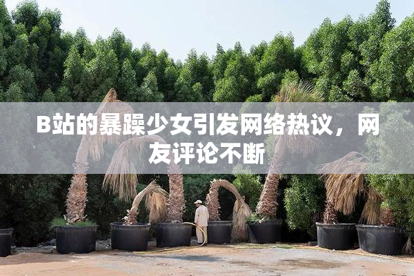 B站的暴躁少女引发网络热议，网友评论不断