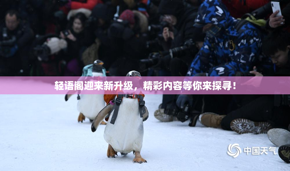 轻语阁迎来新升级，精彩内容等你来探寻！