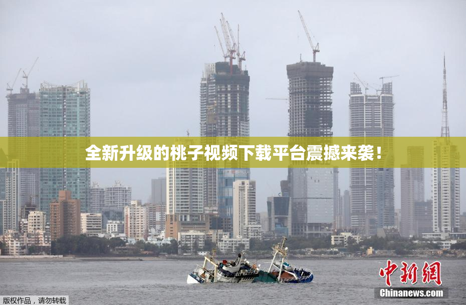 全新升级的桃子视频下载平台震撼来袭！