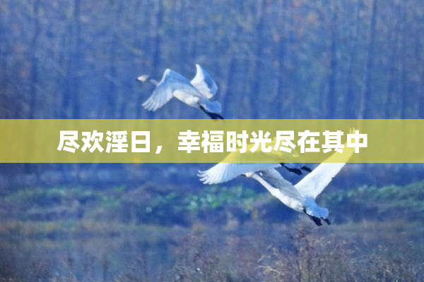尽欢淫日，幸福时光尽在其中
