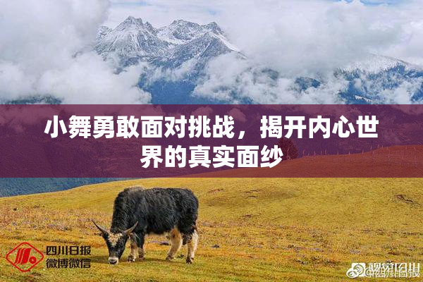 小舞勇敢面对挑战，揭开内心世界的真实面纱