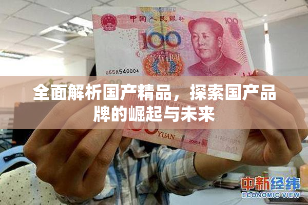 全面解析国产精品，探索国产品牌的崛起与未来