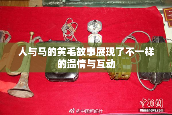 人与马的黄毛故事展现了不一样的温情与互动