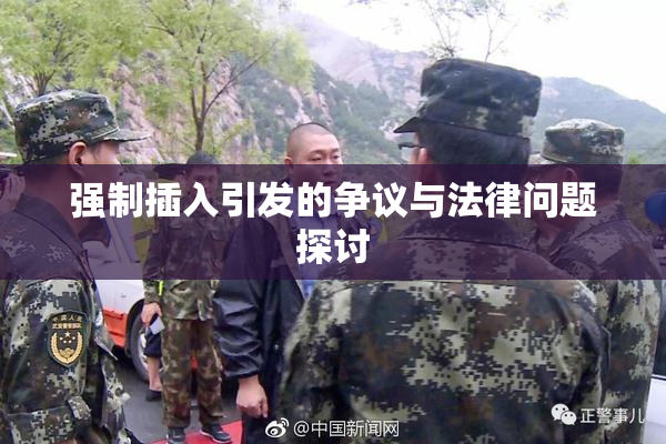 强制插入引发的争议与法律问题探讨