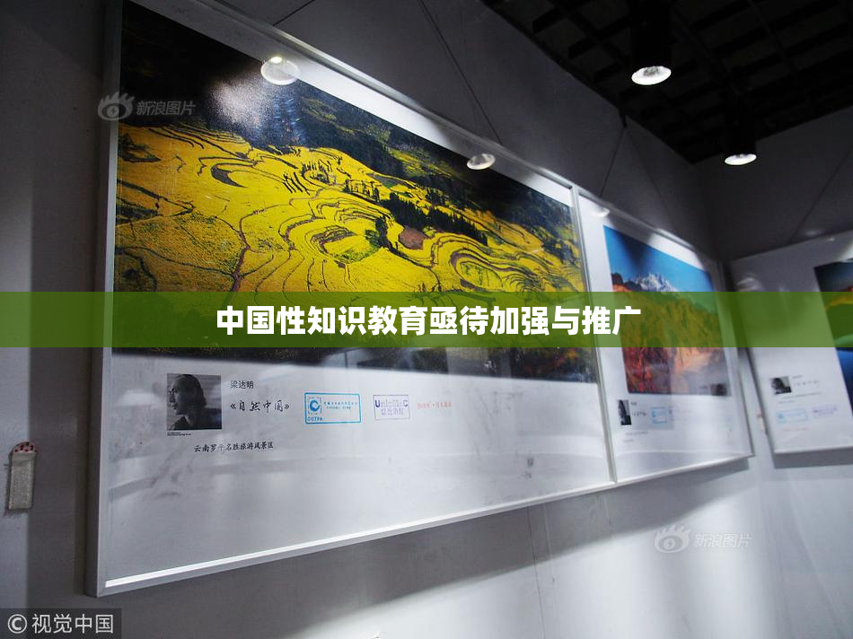 中国性知识教育亟待加强与推广