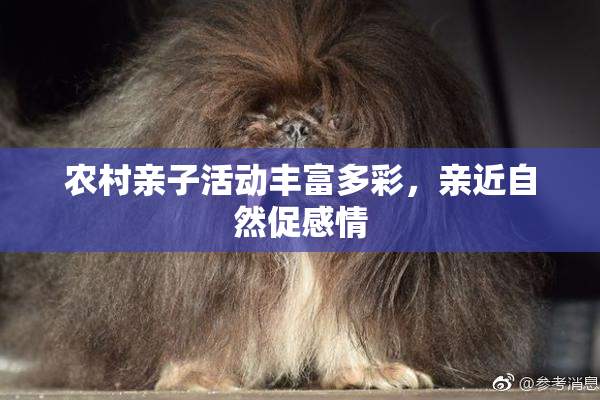 农村亲子活动丰富多彩，亲近自然促感情