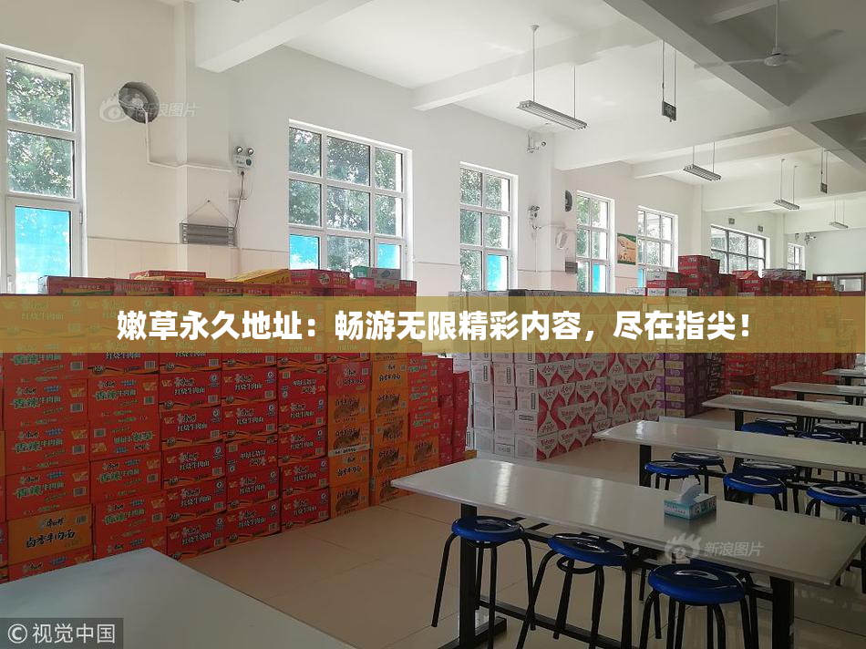 嫩草永久地址：畅游无限精彩内容，尽在指尖！