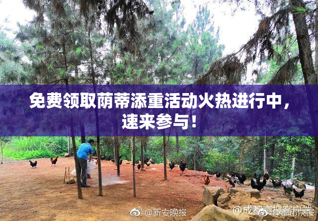 免费领取荫蒂添重活动火热进行中，速来参与！