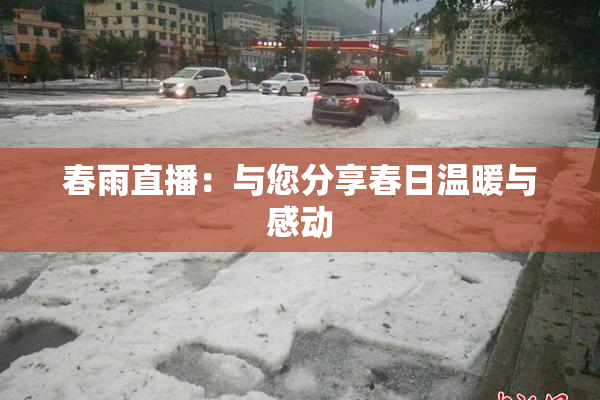 春雨直播：与您分享春日温暖与感动