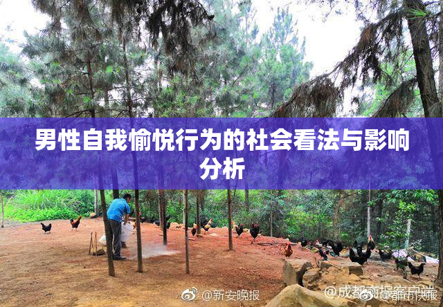 男性自我愉悦行为的社会看法与影响分析