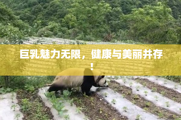 巨乳魅力无限，健康与美丽并存！