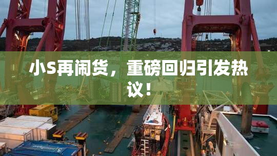 小S再闹货，重磅回归引发热议！