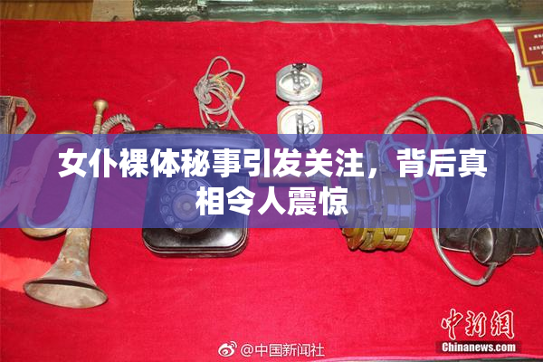 女仆裸体秘事引发关注，背后真相令人震惊
