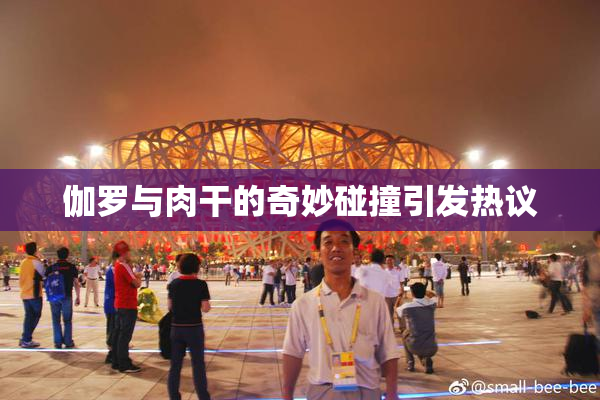 伽罗与肉干的奇妙碰撞引发热议