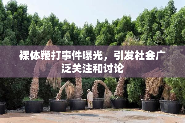 裸体鞭打事件曝光，引发社会广泛关注和讨论