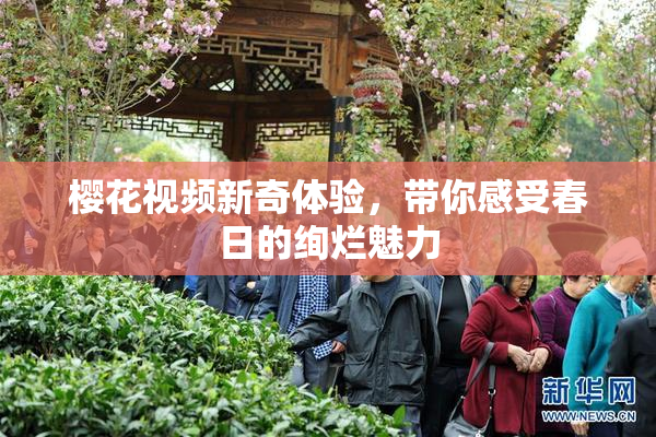 樱花视频新奇体验，带你感受春日的绚烂魅力