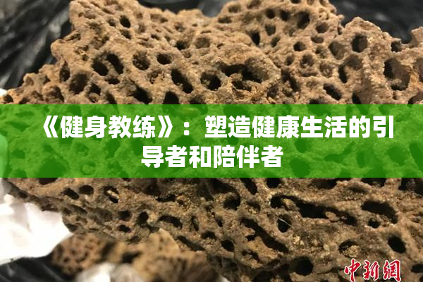《健身教练》：塑造健康生活的引导者和陪伴者