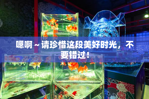 嗯啊～请珍惜这段美好时光，不要错过！