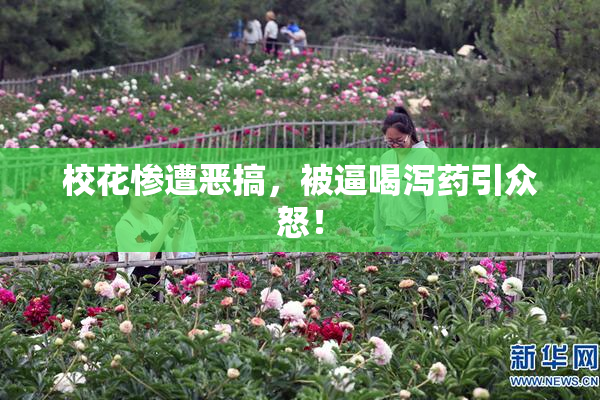 校花惨遭恶搞，被逼喝泻药引众怒！