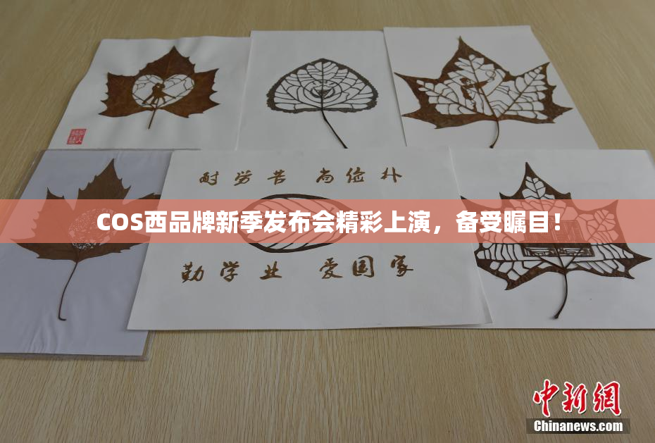 COS西品牌新季发布会精彩上演，备受瞩目！