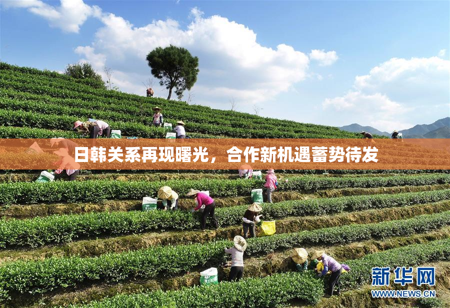 日韩关系再现曙光，合作新机遇蓄势待发