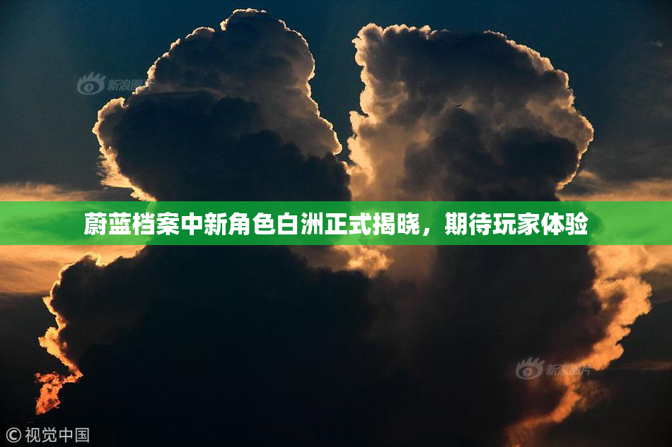 蔚蓝档案中新角色白洲正式揭晓，期待玩家体验