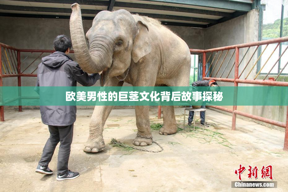 欧美男性的巨茎文化背后故事探秘