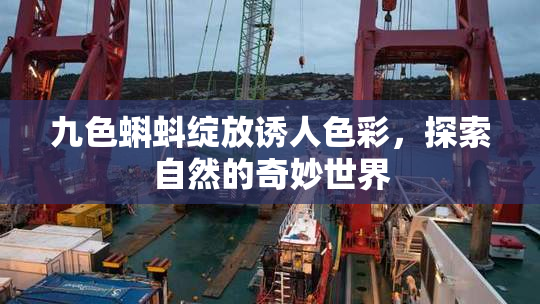 九色蝌蚪绽放诱人色彩，探索自然的奇妙世界