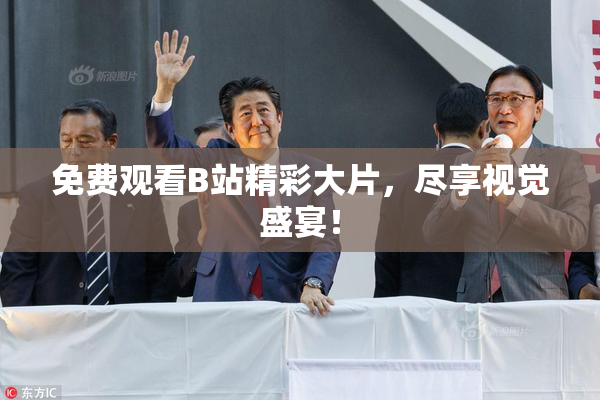 免费观看B站精彩大片，尽享视觉盛宴！