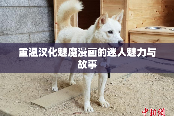重温汉化魅魔漫画的迷人魅力与故事