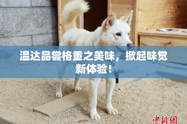 温达品尝格重之美味，掀起味觉新体验！