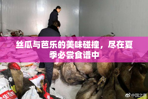 丝瓜与芭乐的美味碰撞，尽在夏季必尝食谱中