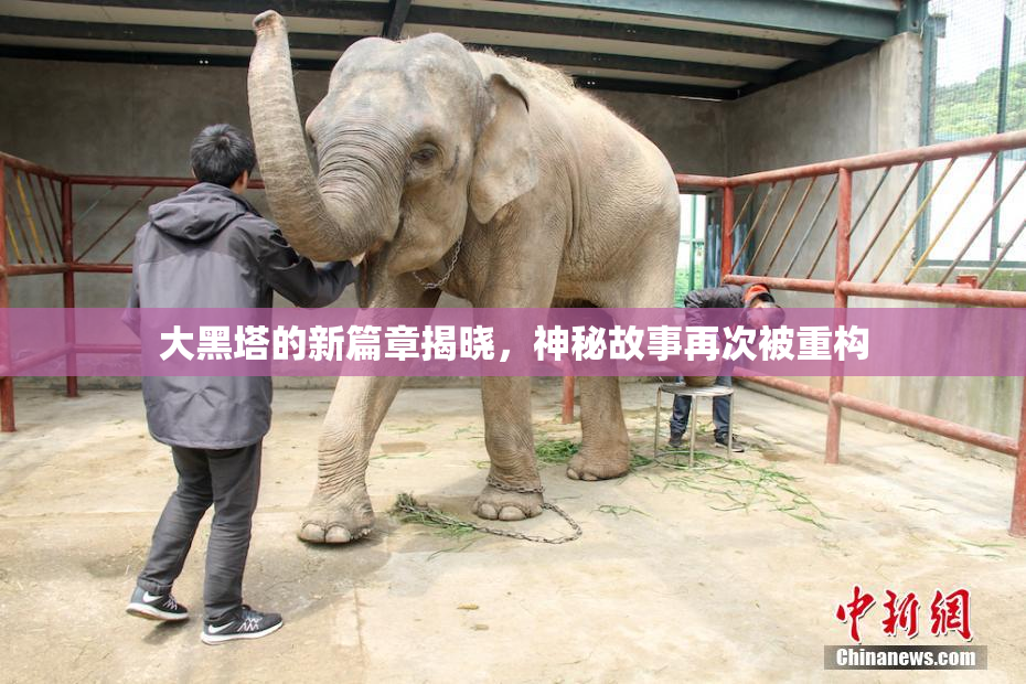 大黑塔的新篇章揭晓，神秘故事再次被重构
