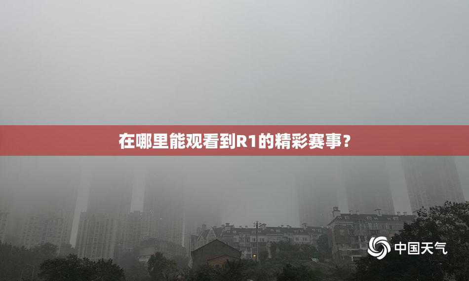 在哪里能观看到R1的精彩赛事？