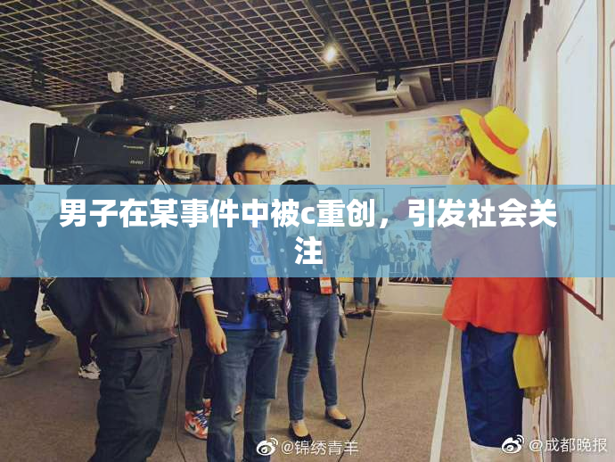 男子在某事件中被c重创，引发社会关注