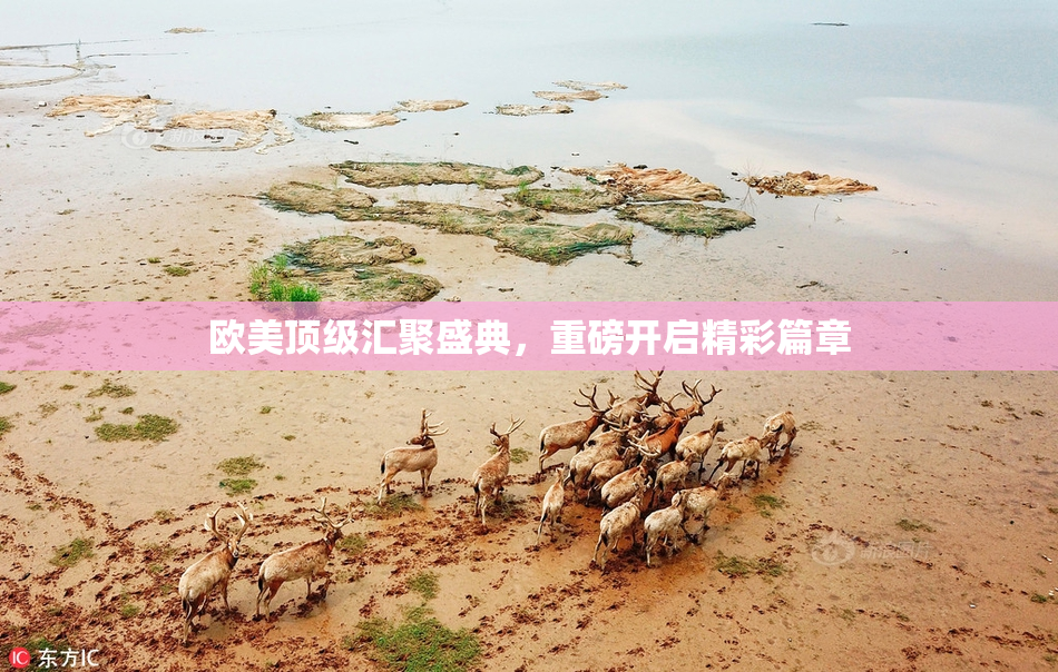 欧美顶级汇聚盛典，重磅开启精彩篇章