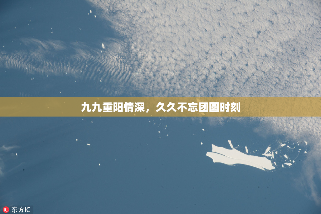 九九重阳情深，久久不忘团圆时刻